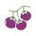 Томат